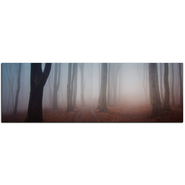 Obraz na plátně - Mlha v lese - panoráma